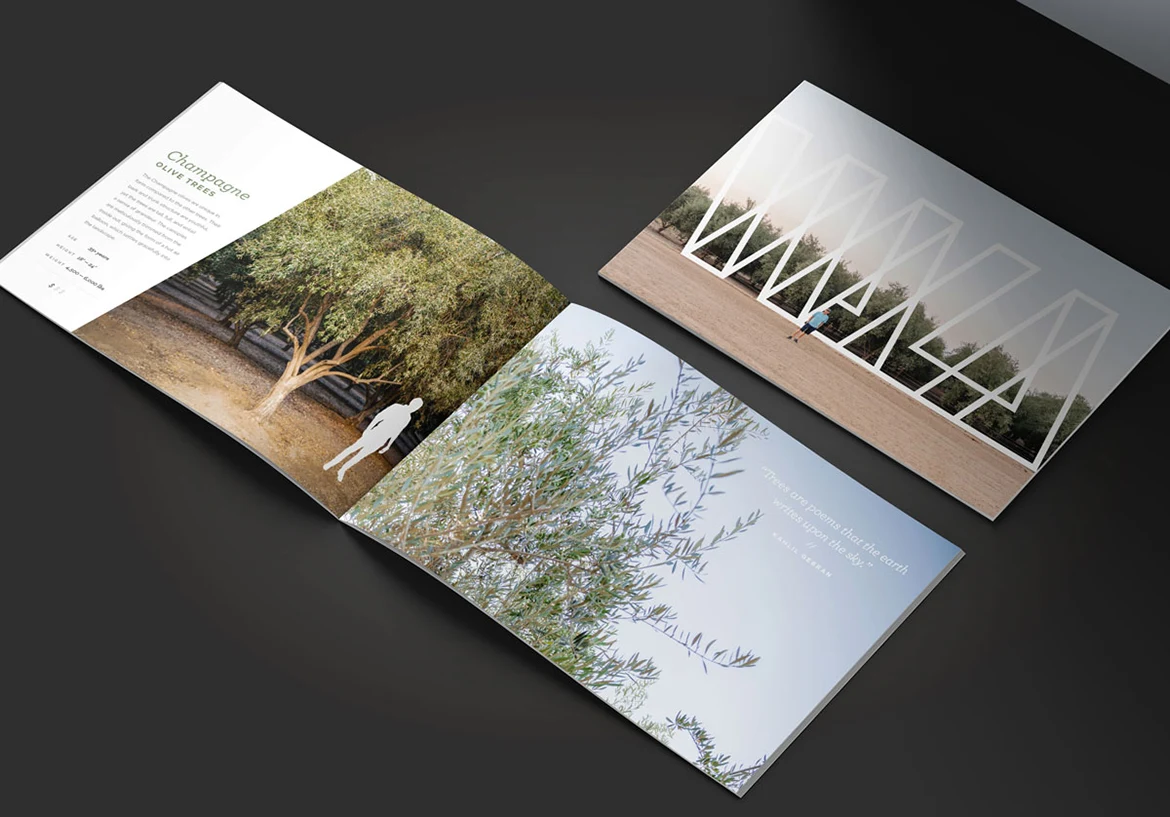 WALA Olive tree catalog